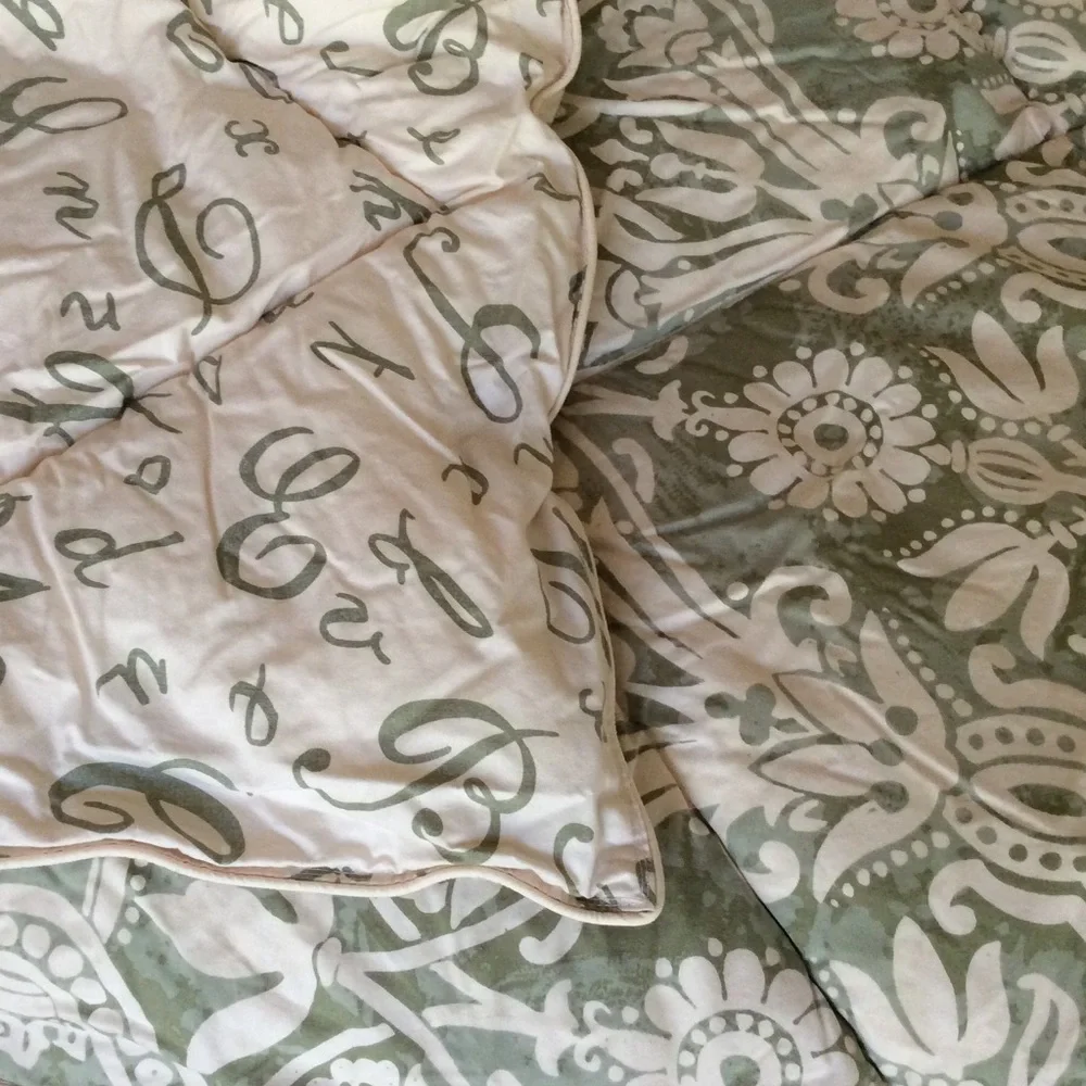 Pottery Barn Lorraine Comforter Quilt Twin